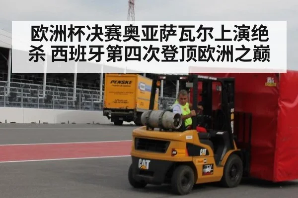 欧洲杯决赛奥亚萨瓦尔上演绝杀 西班牙第四次登顶欧洲之巅